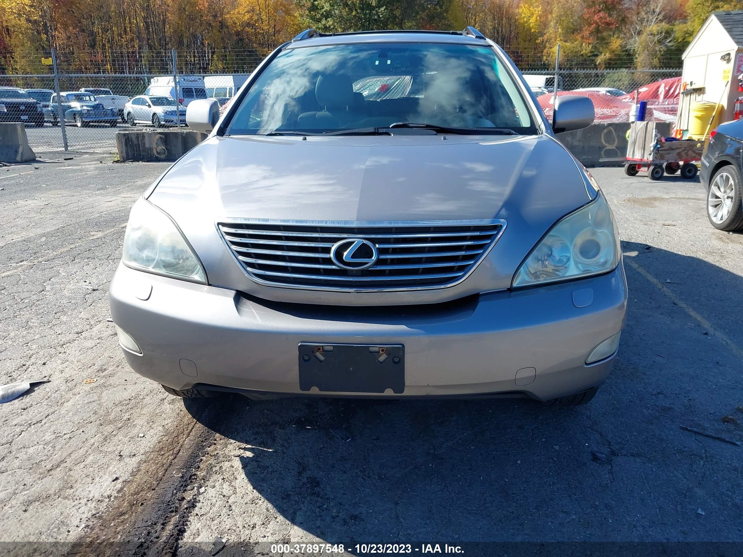 Photo 12 VIN: JTJHA31U150097345 - LEXUS RX 