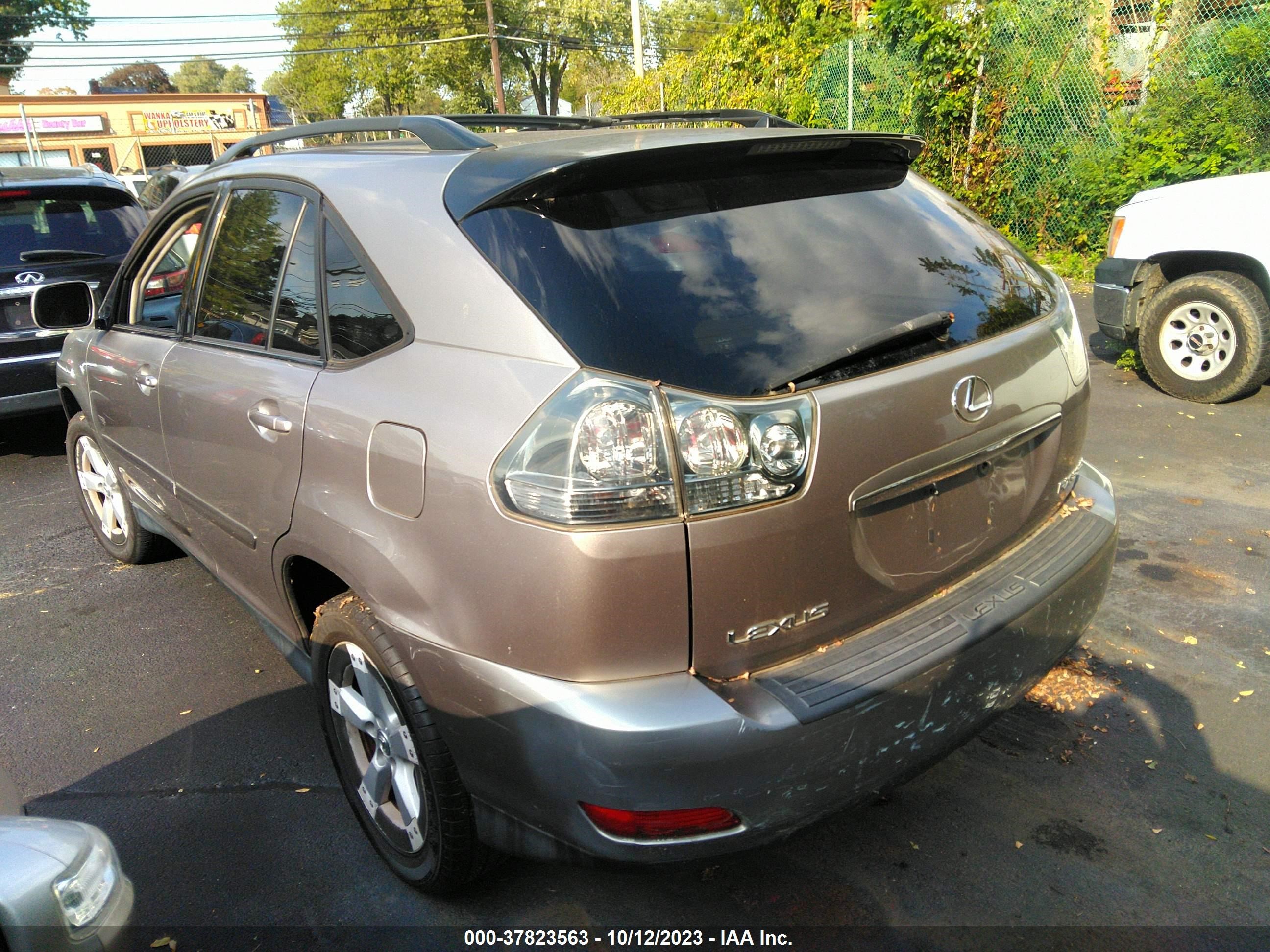 Photo 3 VIN: JTJHA31U250090744 - LEXUS RX 