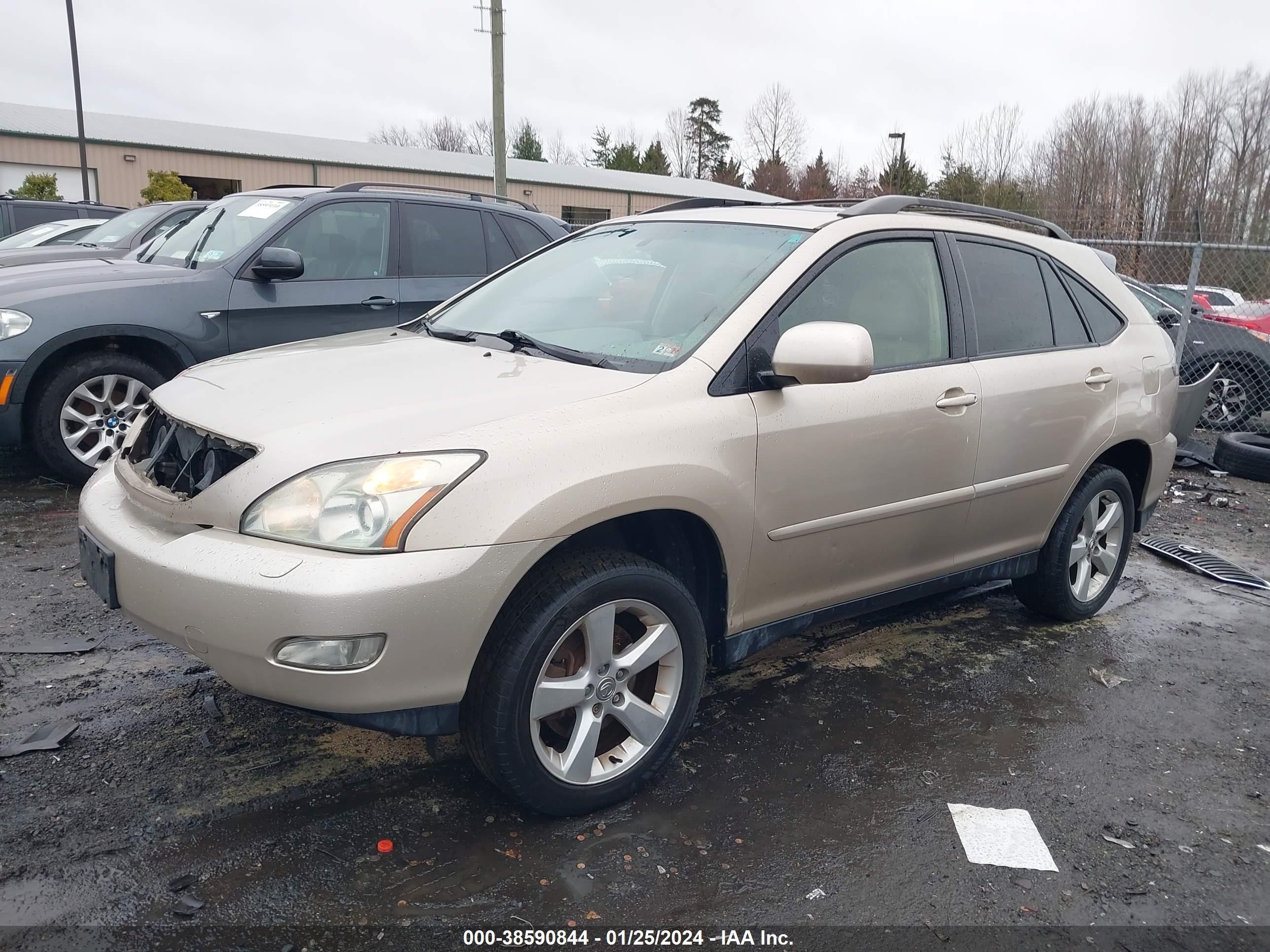 Photo 1 VIN: JTJHA31U340005067 - LEXUS RX 