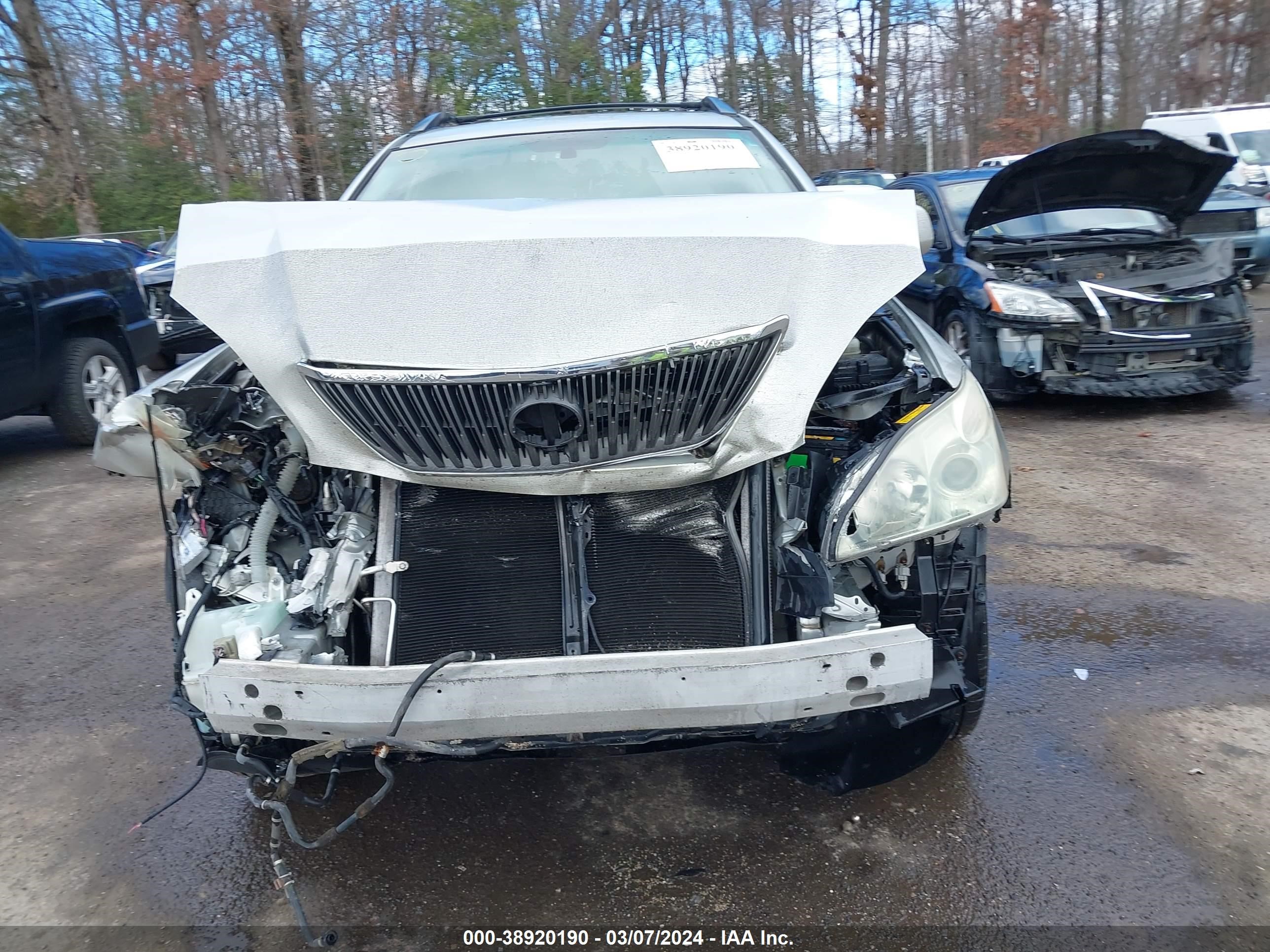 Photo 12 VIN: JTJHA31U440046453 - LEXUS RX 