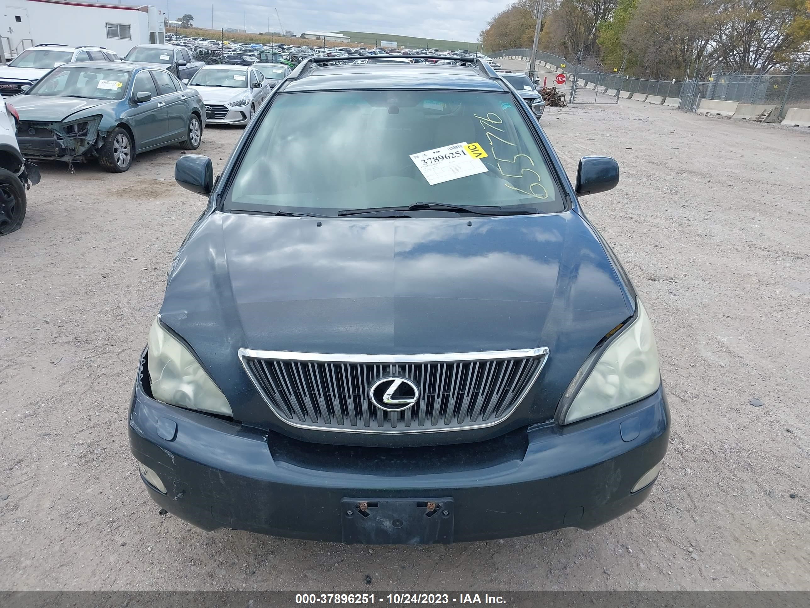 Photo 10 VIN: JTJHA31U440046727 - LEXUS RX 