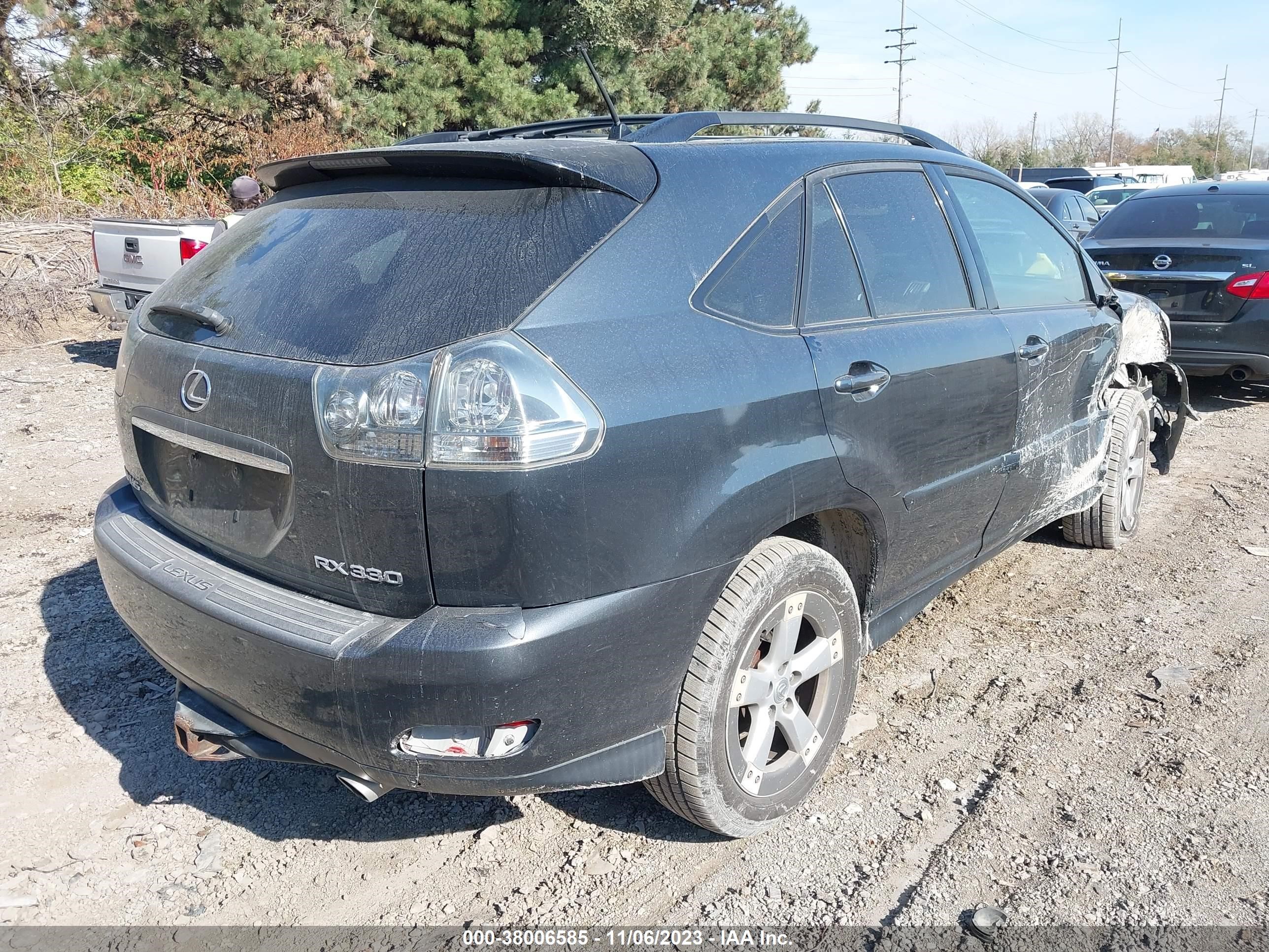 Photo 3 VIN: JTJHA31U650089385 - LEXUS RX 