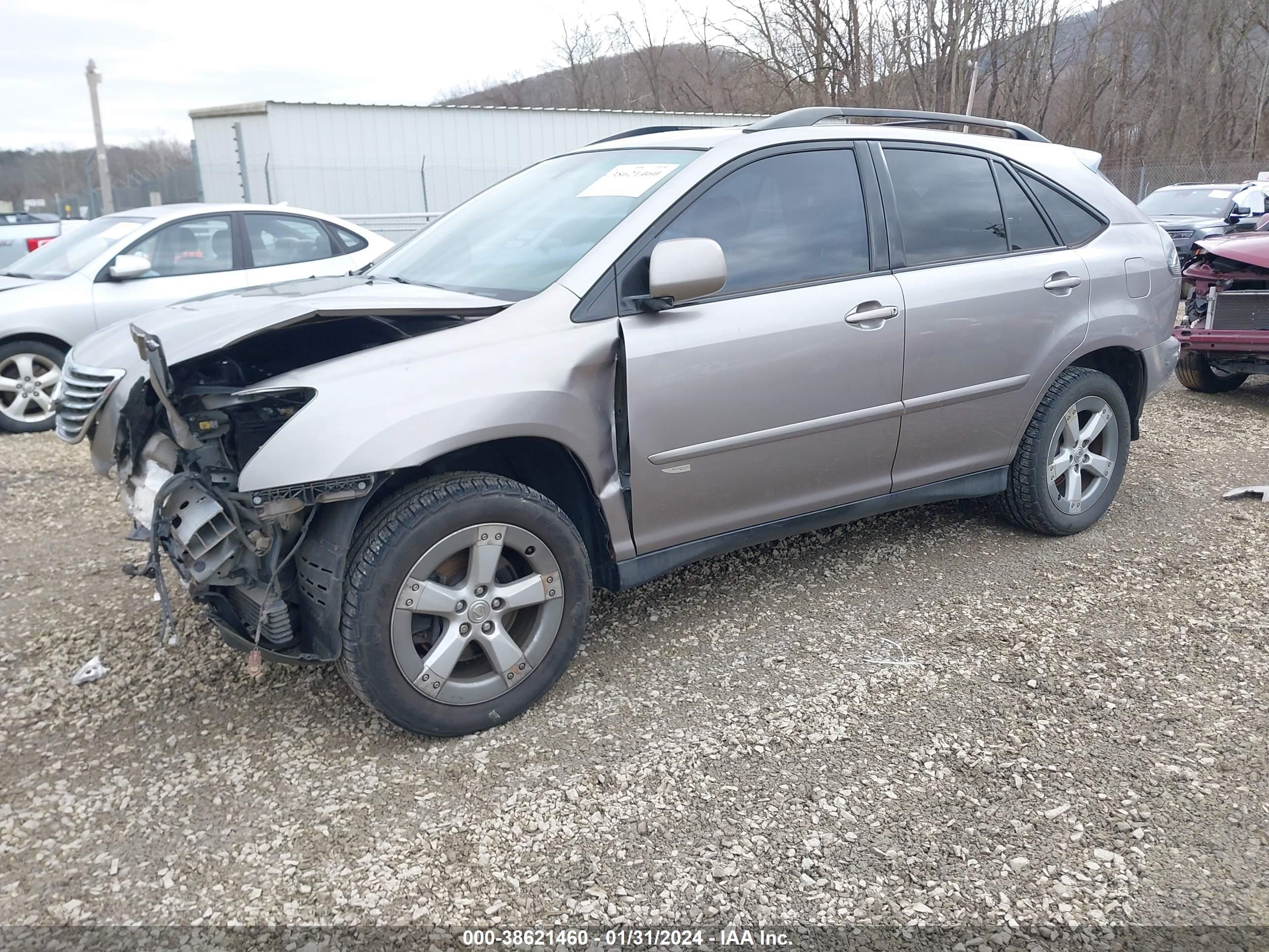 Photo 1 VIN: JTJHA31U850091784 - LEXUS RX 