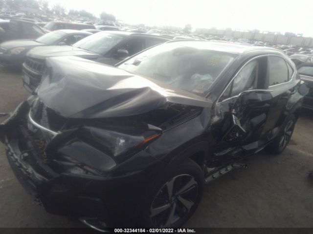 Photo 1 VIN: JTJHARBZ5L5014495 - LEXUS NX 