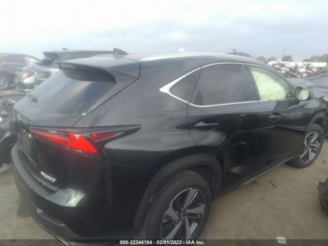 Photo 3 VIN: JTJHARBZ5L5014495 - LEXUS NX 