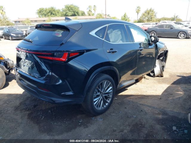 Photo 3 VIN: JTJHGCEZ7R5008536 - LEXUS NX 