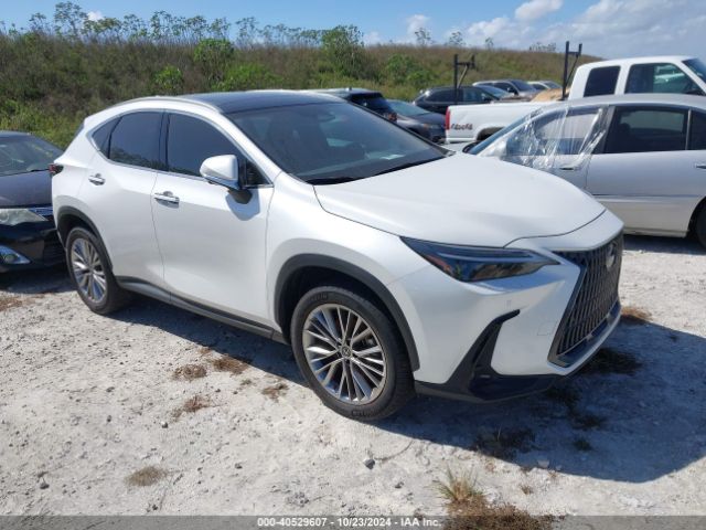 Photo 0 VIN: JTJHGCEZ8N2007570 - LEXUS NX 