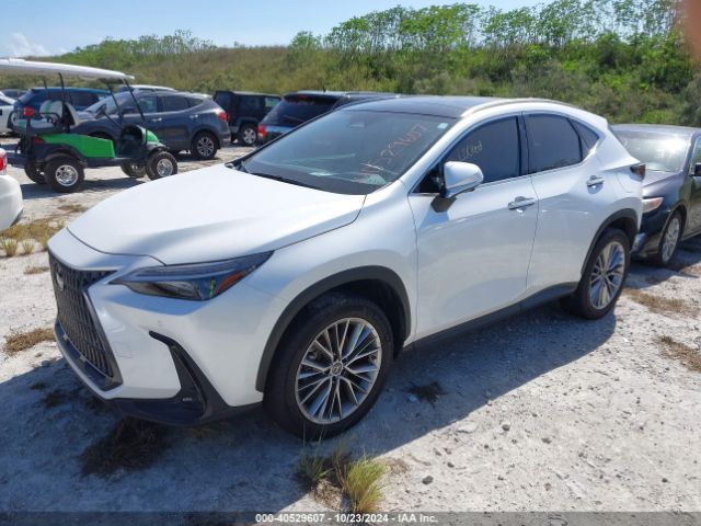 Photo 1 VIN: JTJHGCEZ8N2007570 - LEXUS NX 