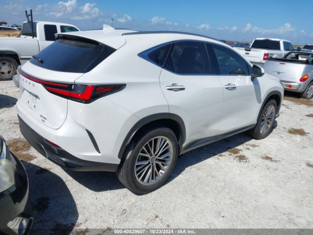 Photo 3 VIN: JTJHGCEZ8N2007570 - LEXUS NX 