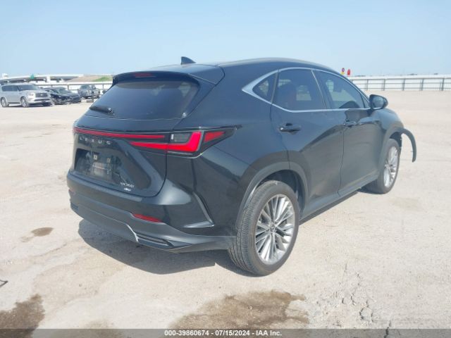 Photo 3 VIN: JTJHGCEZ8N5000617 - LEXUS NX 