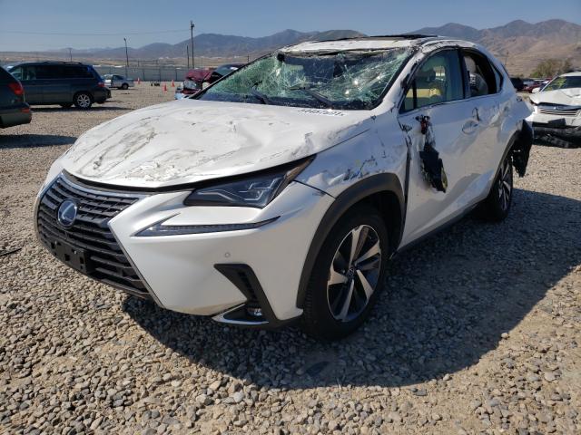 Photo 1 VIN: JTJHJRDZ6M2155415 - LEXUS NX 300H BA 