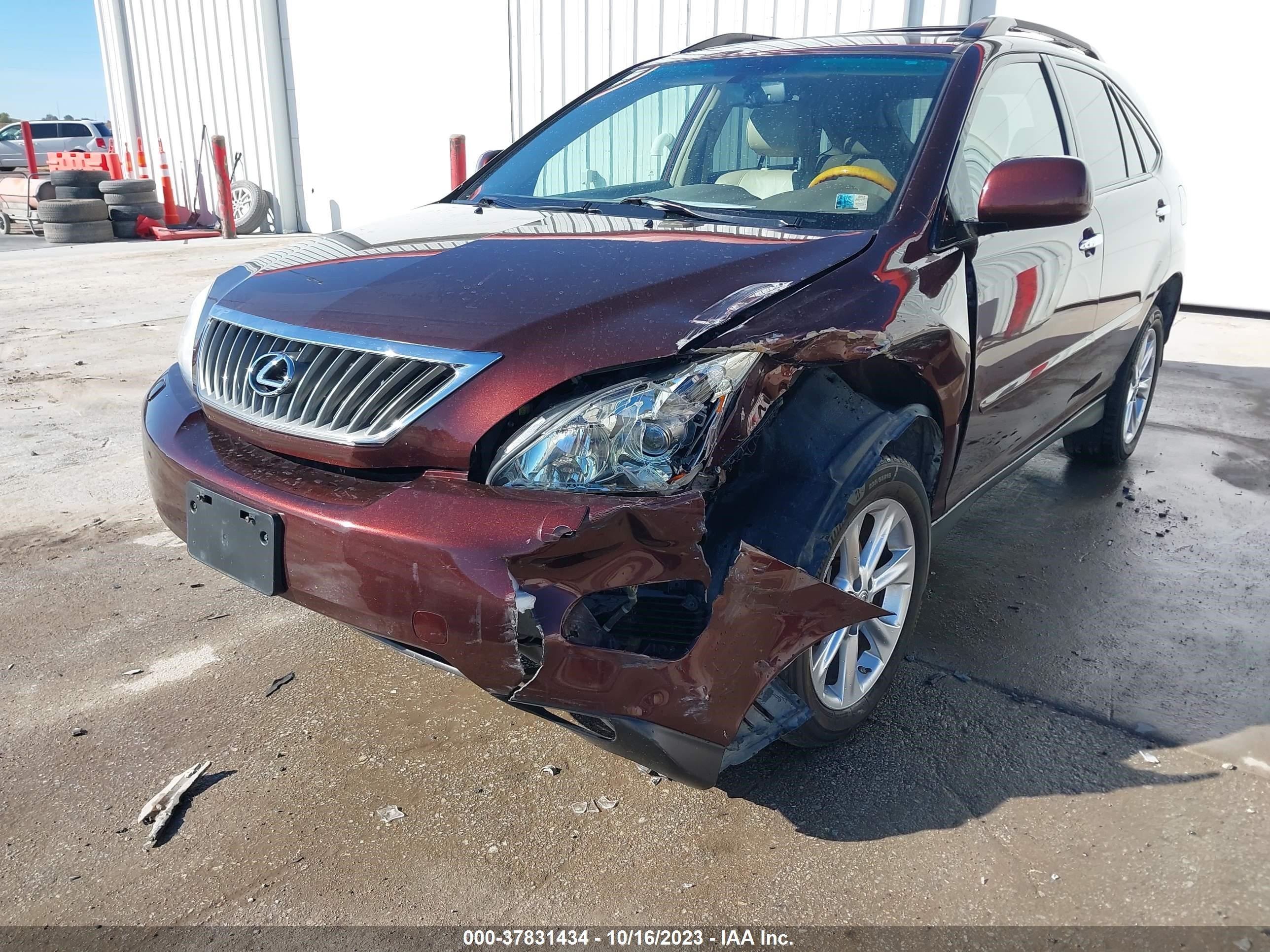 Photo 5 VIN: JTJHK31U192855093 - LEXUS RX 