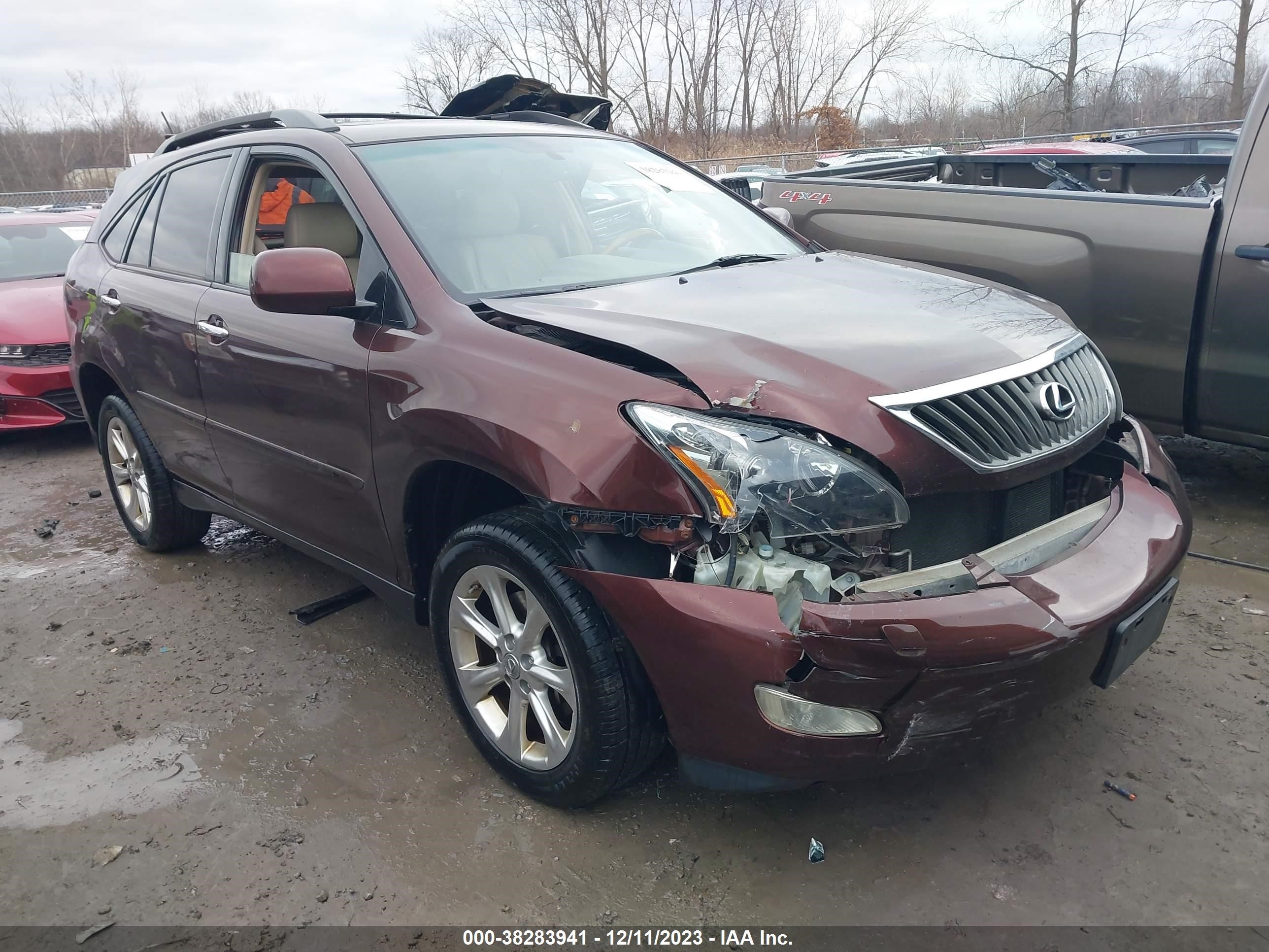 Photo 0 VIN: JTJHK31U792061599 - LEXUS RX 