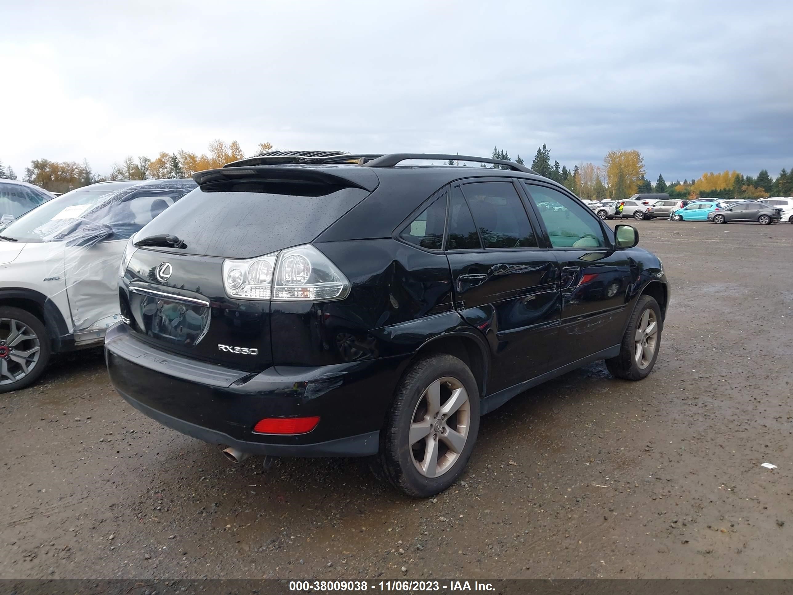 Photo 3 VIN: JTJHK31U872025210 - LEXUS RX 