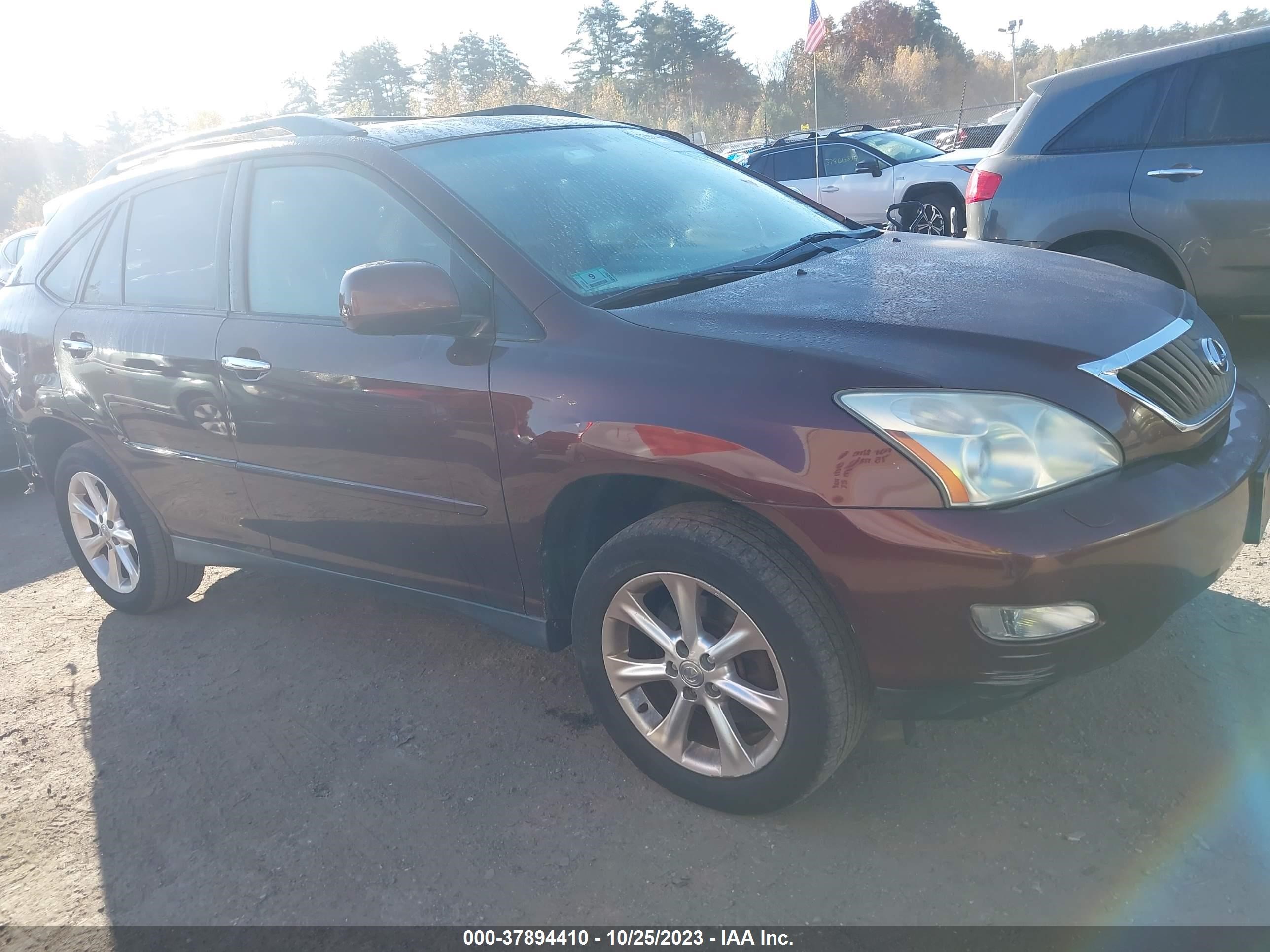 Photo 12 VIN: JTJHK31U882851170 - LEXUS RX 