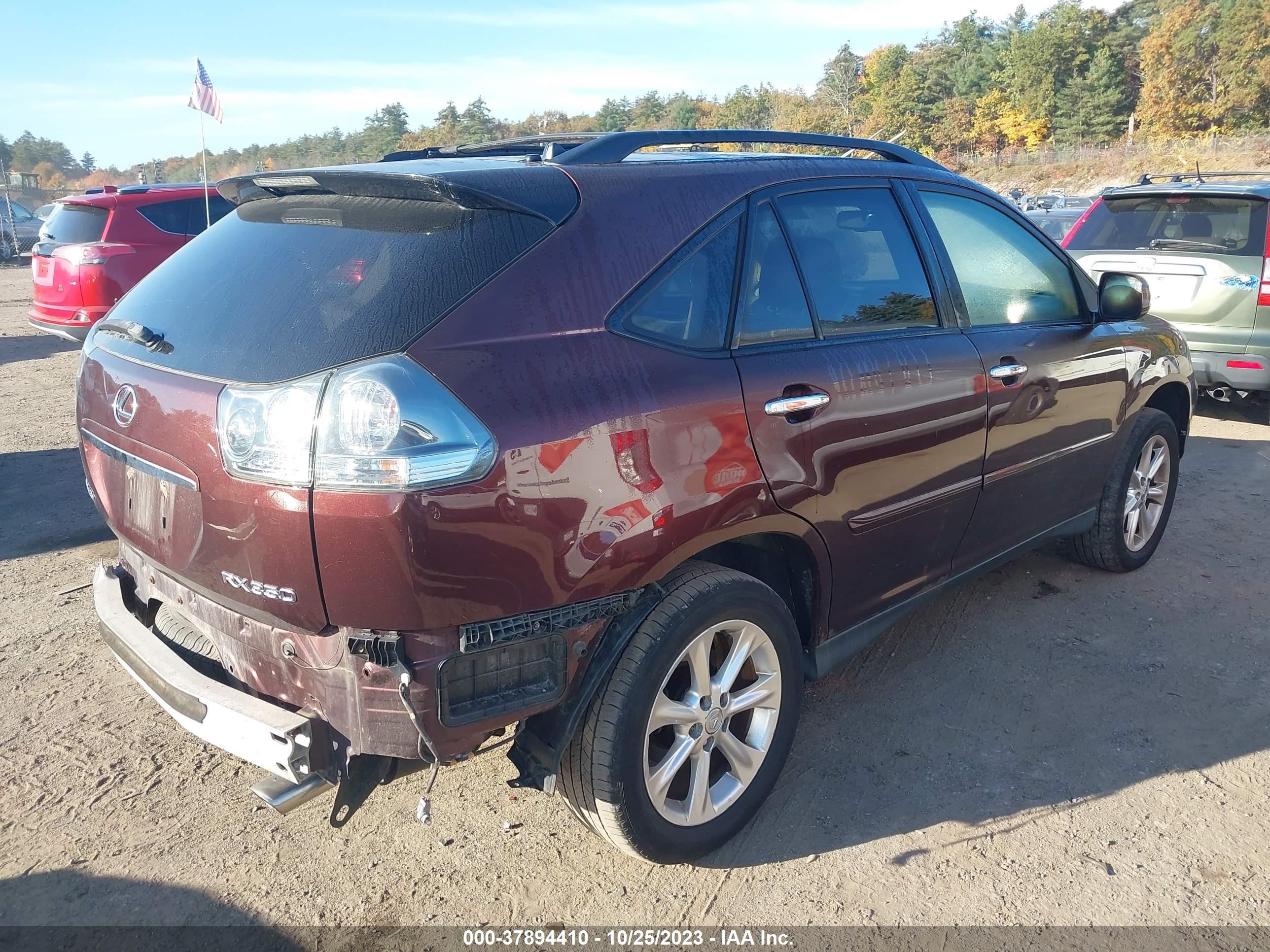 Photo 3 VIN: JTJHK31U882851170 - LEXUS RX 