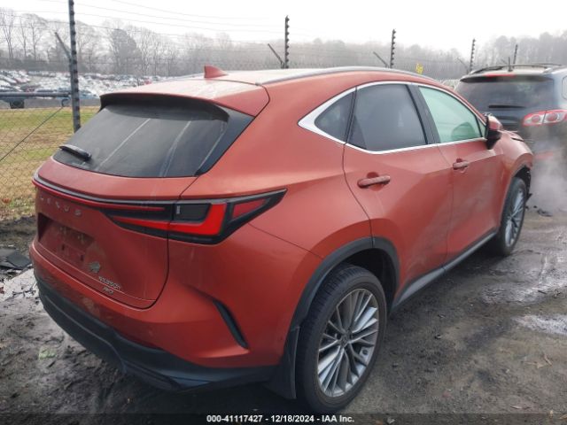 Photo 3 VIN: JTJHKCEZ0N2007383 - LEXUS NX 