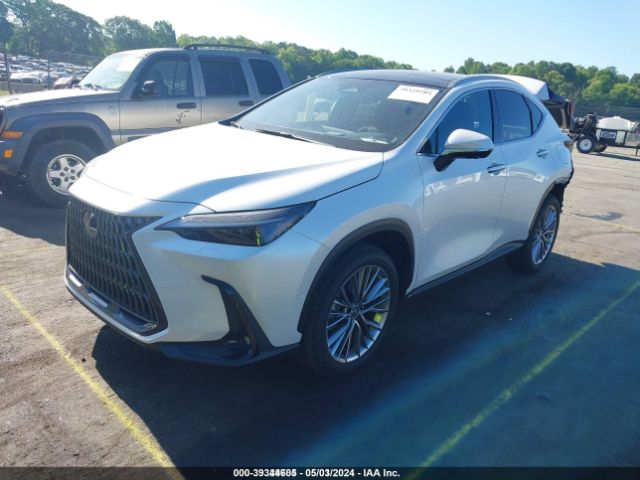 Photo 1 VIN: JTJHKCEZ1N5000392 - LEXUS NX 350H 