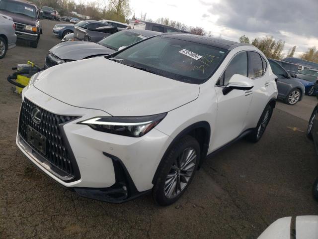 Photo 1 VIN: JTJHKCEZ2N2005490 - LEXUS NX 