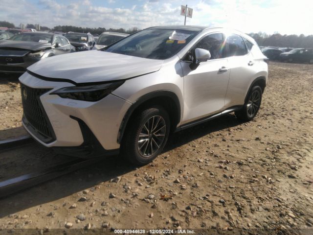 Photo 1 VIN: JTJHKCEZ2R2021033 - LEXUS NX 