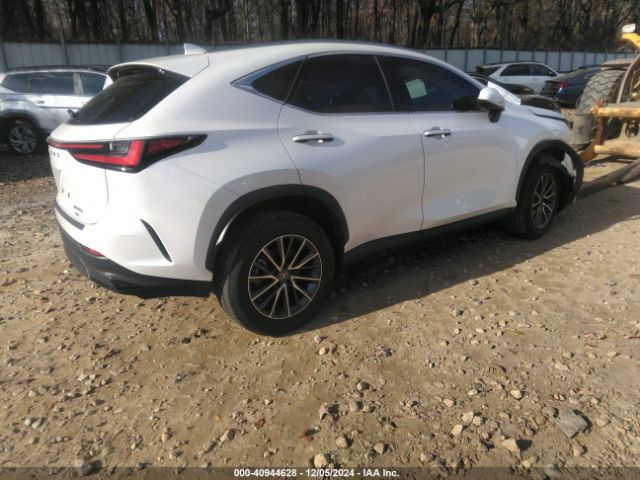 Photo 3 VIN: JTJHKCEZ2R2021033 - LEXUS NX 