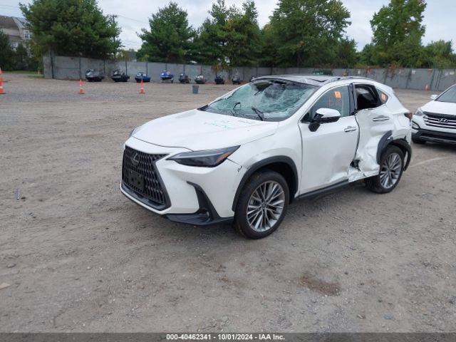 Photo 1 VIN: JTJHKCEZ3R2029562 - LEXUS NX 