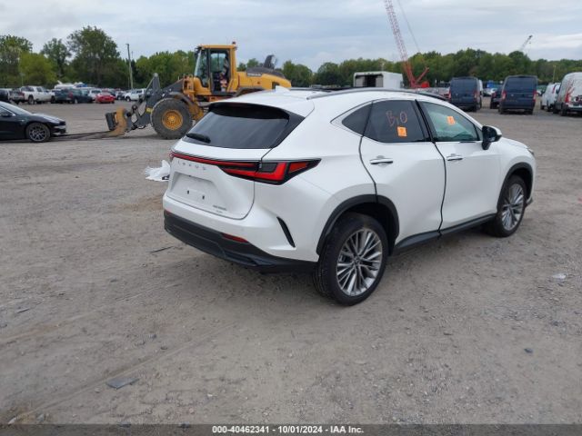 Photo 3 VIN: JTJHKCEZ3R2029562 - LEXUS NX 