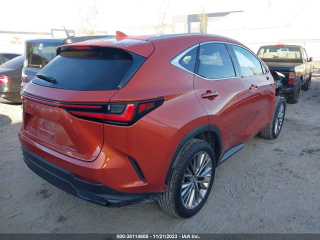 Photo 3 VIN: JTJHKCEZ5N2007041 - LEXUS NX 