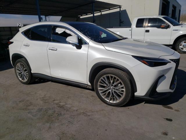 Photo 3 VIN: JTJHKCEZ5N5003392 - LEXUS NX 