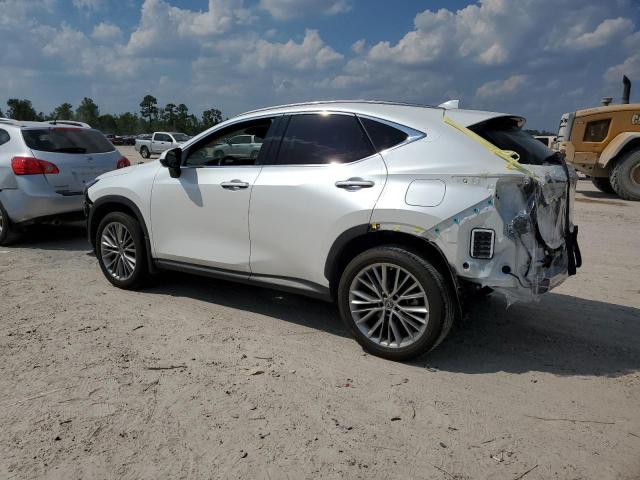 Photo 1 VIN: JTJHKCEZ9N2005048 - LEXUS NX 350H 