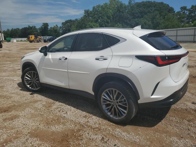 Photo 1 VIN: JTJHKCEZXP2011752 - LEXUS NX 350H 