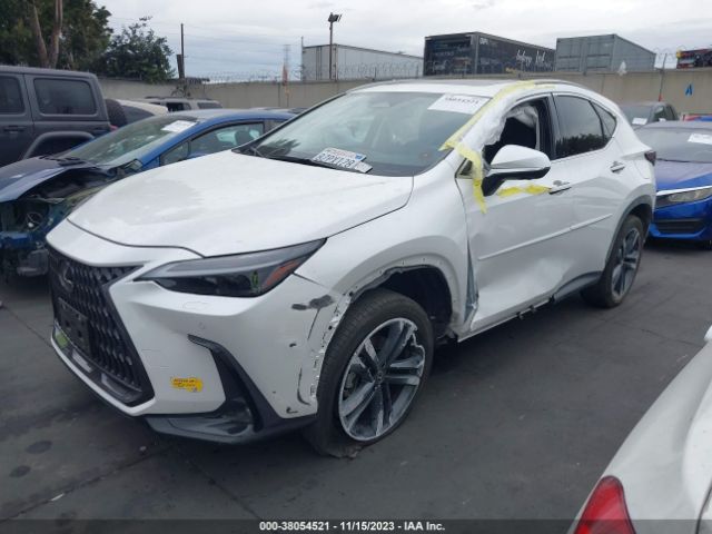 Photo 1 VIN: JTJHKCFZ0N2000769 - LEXUS NX 450H 