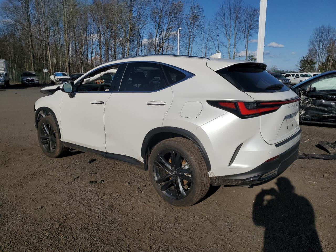 Photo 1 VIN: JTJHKCFZ9P2019601 - LEXUS NX 450H 