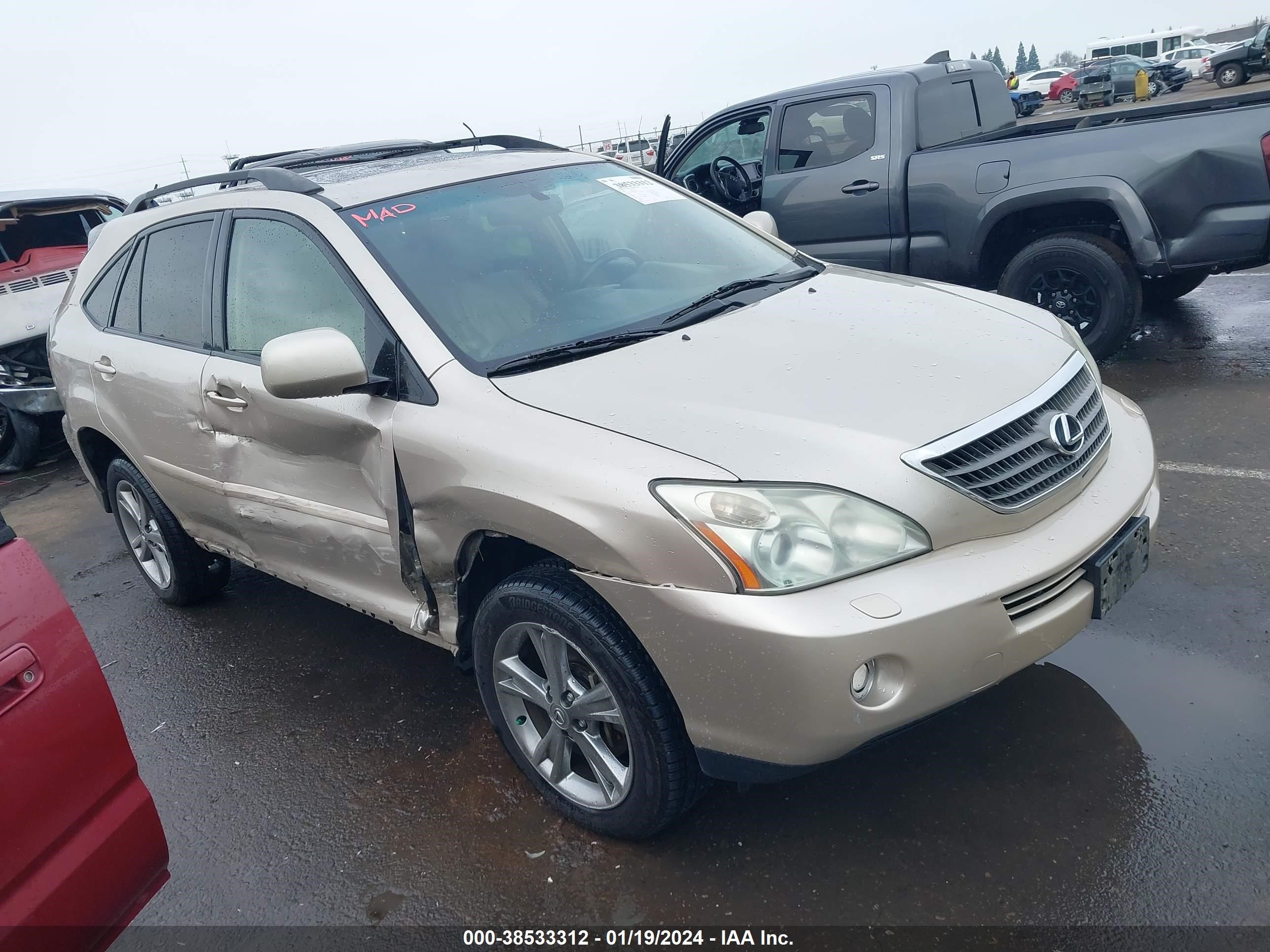 Photo 0 VIN: JTJHW31U060012269 - LEXUS RX 