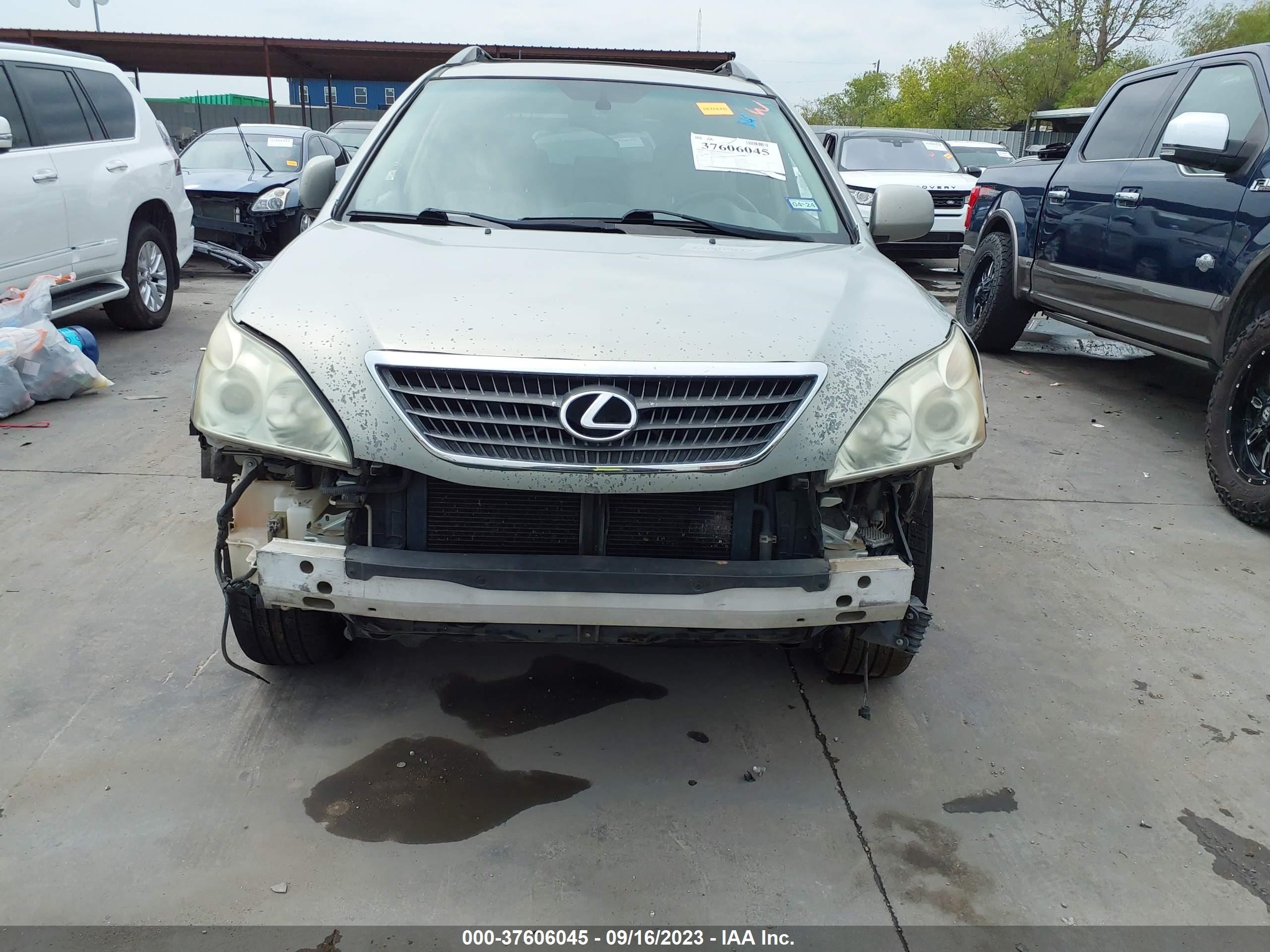 Photo 12 VIN: JTJHW31U060039519 - LEXUS RX 