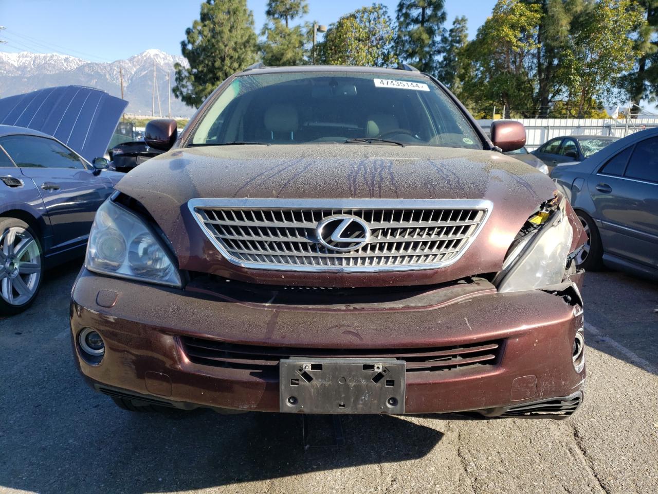 Photo 4 VIN: JTJHW31U382040154 - LEXUS RX 