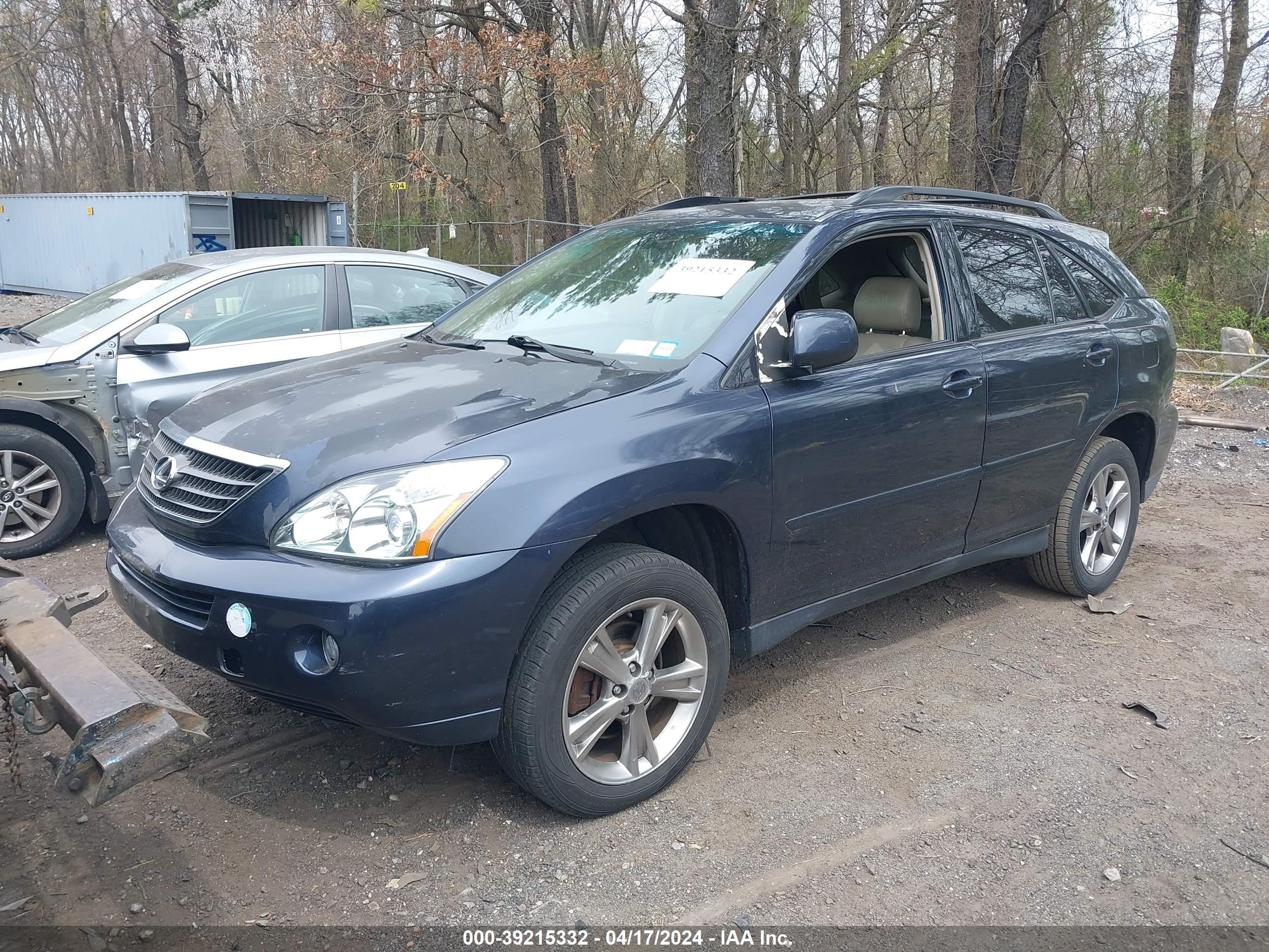 Photo 1 VIN: JTJHW31U460012887 - LEXUS RX 