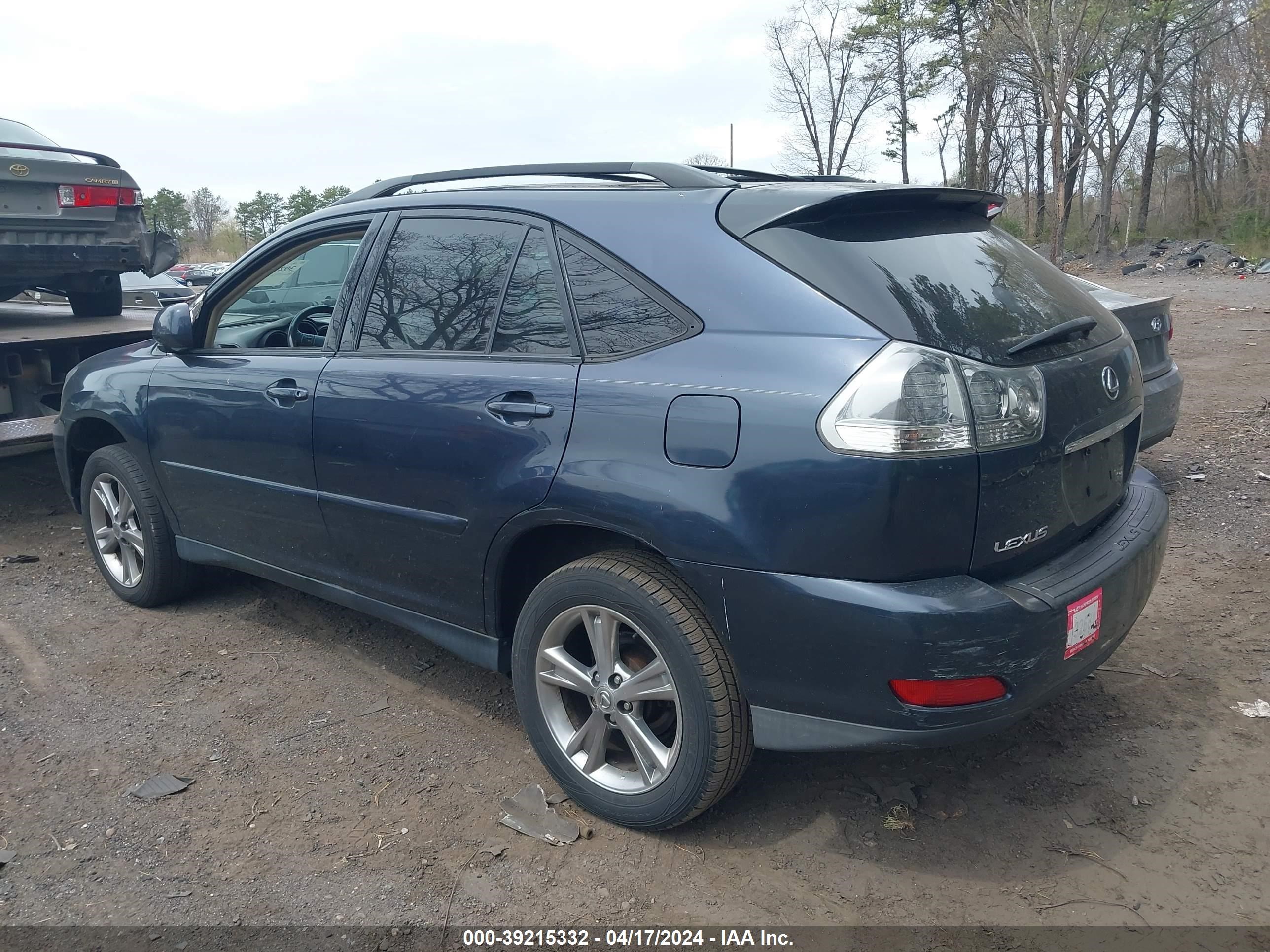 Photo 2 VIN: JTJHW31U460012887 - LEXUS RX 