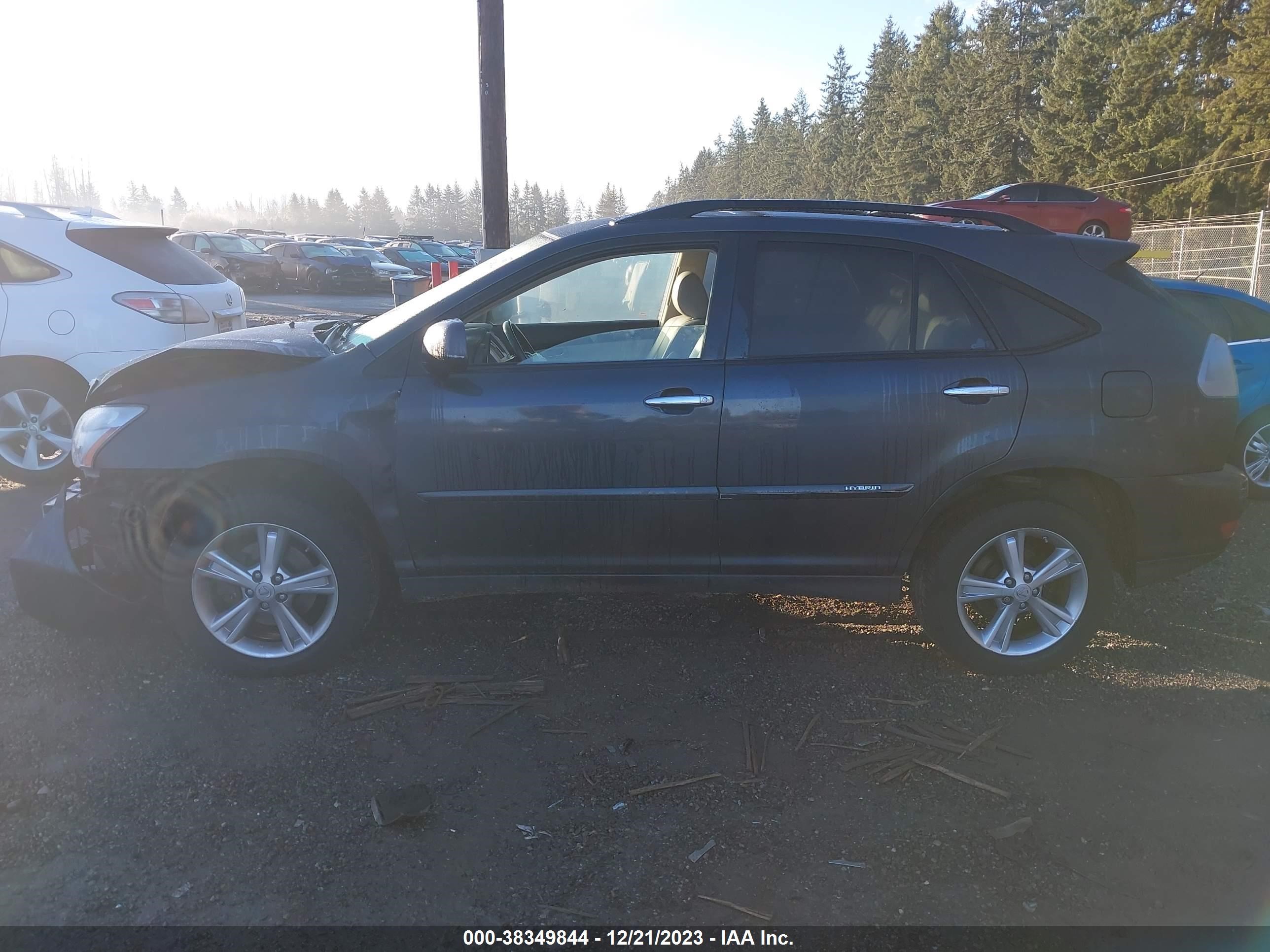 Photo 13 VIN: JTJHW31U682850703 - LEXUS RX 