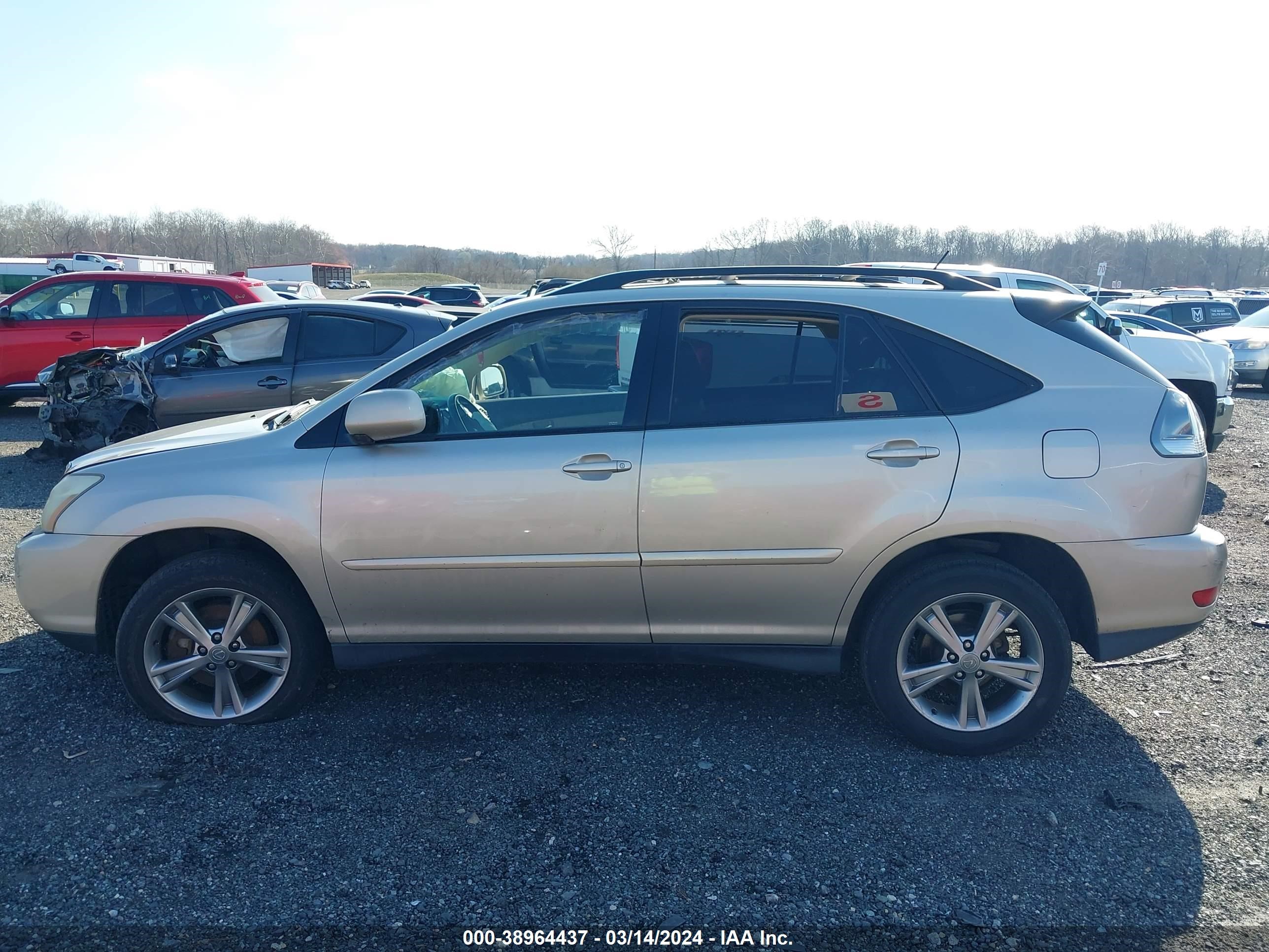 Photo 13 VIN: JTJHW31U862001864 - LEXUS RX 