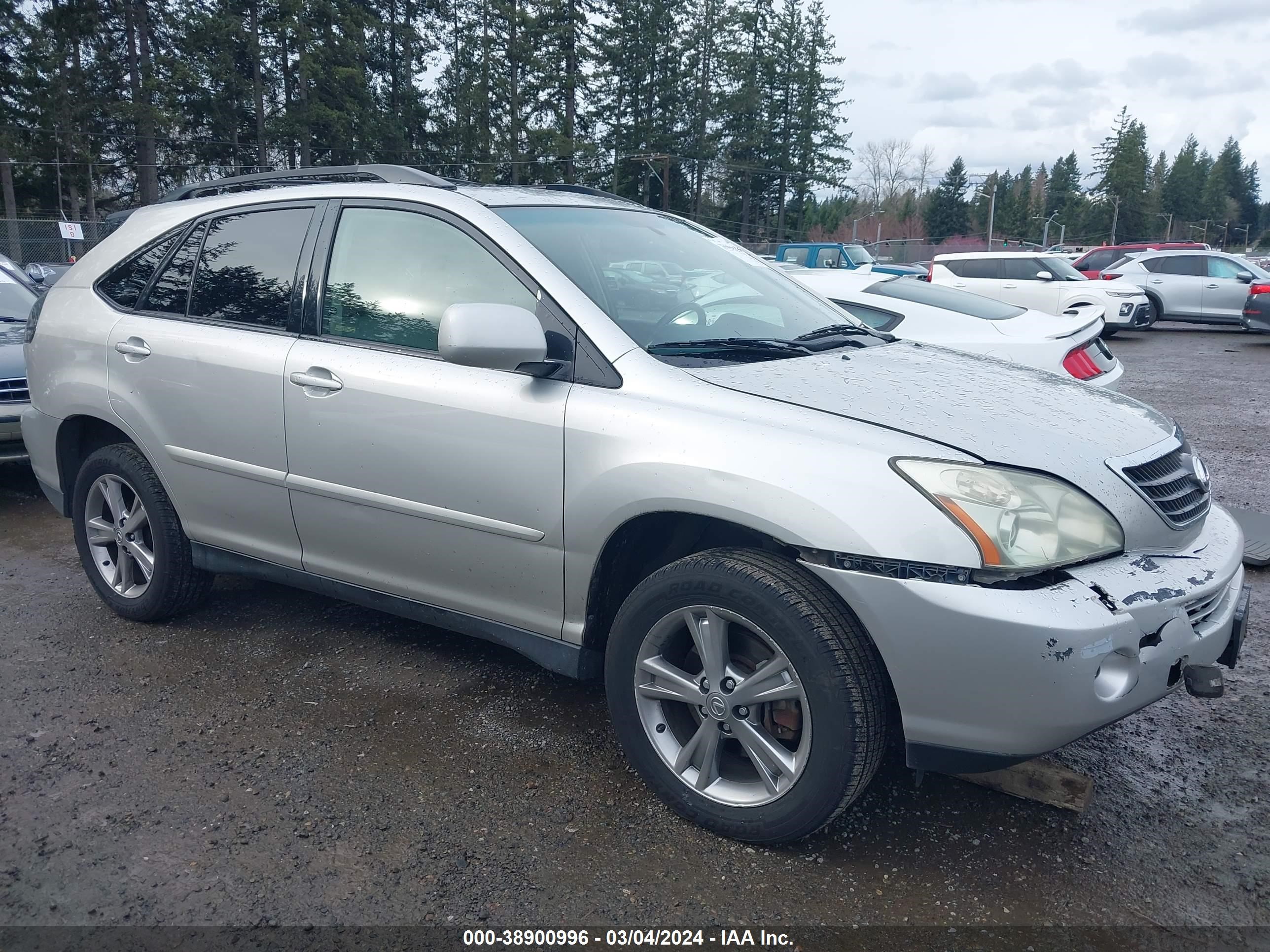 Photo 12 VIN: JTJHW31UX60009184 - LEXUS RX 