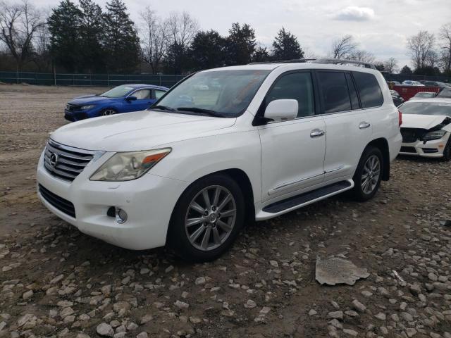 Photo 0 VIN: JTJHY7AX1B4061432 - LEXUS LX570 