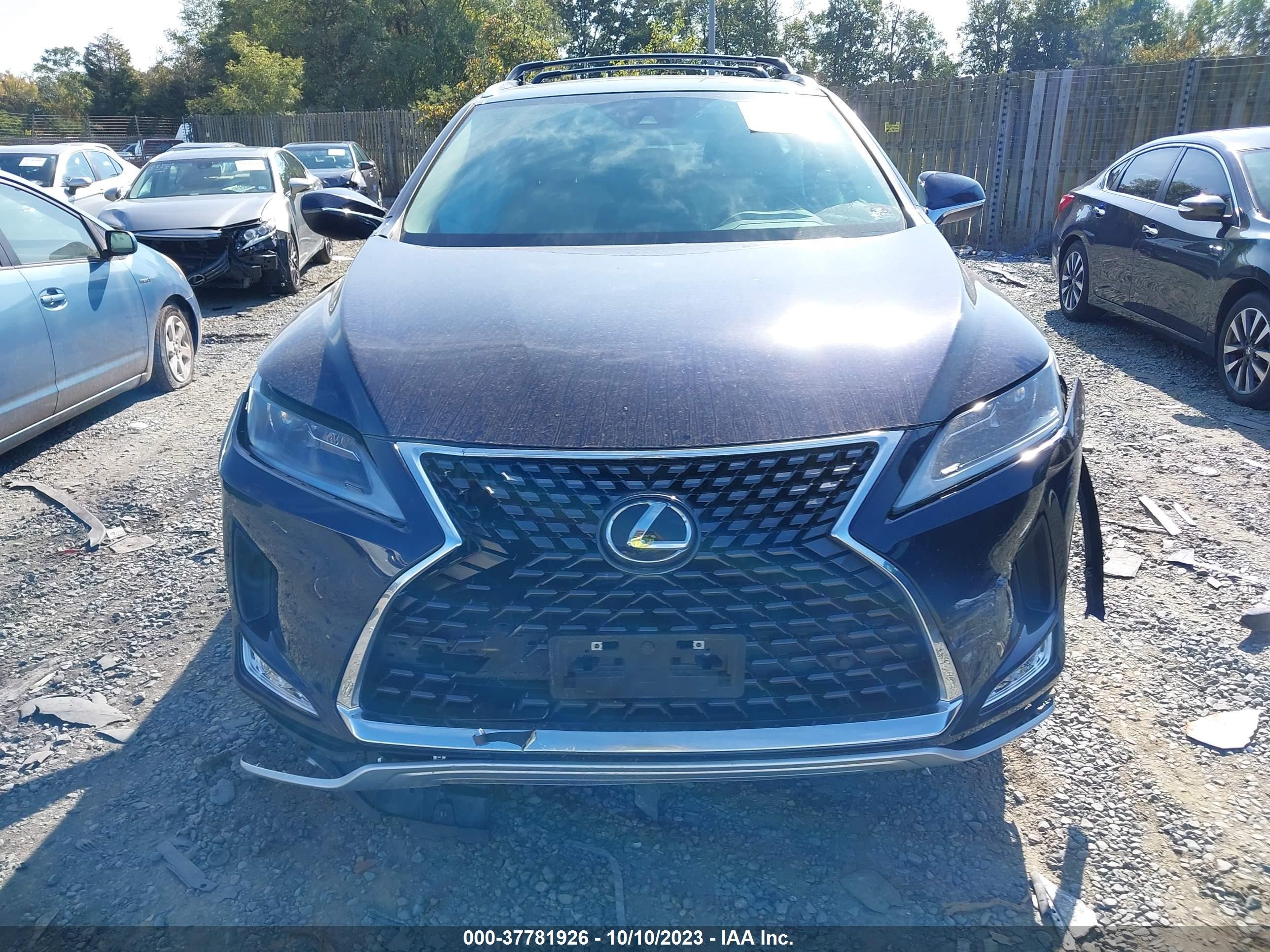 Photo 11 VIN: JTJHZKFA0N2039491 - LEXUS RX 