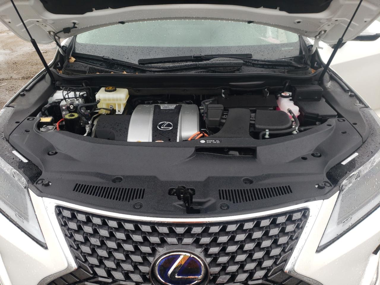 Photo 10 VIN: JTJJGKFA8M2019298 - LEXUS RX 