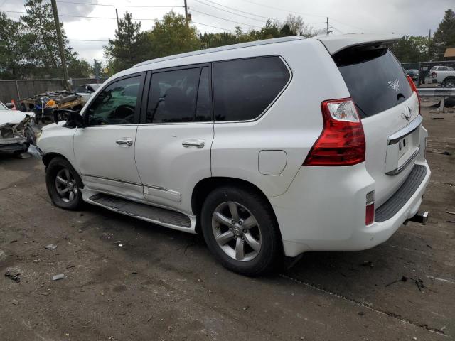 Photo 1 VIN: JTJJM7FX0D5053213 - LEXUS GX 460 PRE 