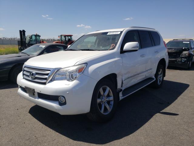 Photo 1 VIN: JTJJM7FX3D5058406 - LEXUS GX 460 