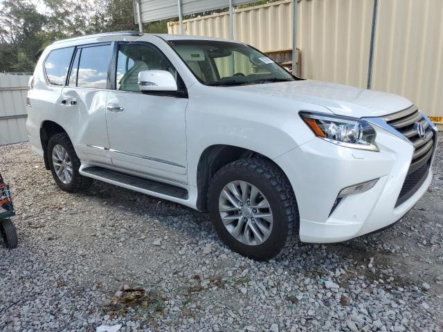 Photo 3 VIN: JTJJM7FX3F5101578 - LEXUS GX 460 PRE 