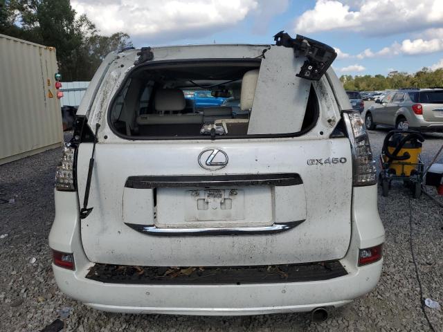 Photo 5 VIN: JTJJM7FX3F5101578 - LEXUS GX 460 PRE 