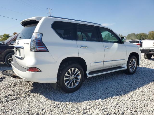 Photo 2 VIN: JTJJM7FX6E5077873 - LEXUS GX 460 PRE 