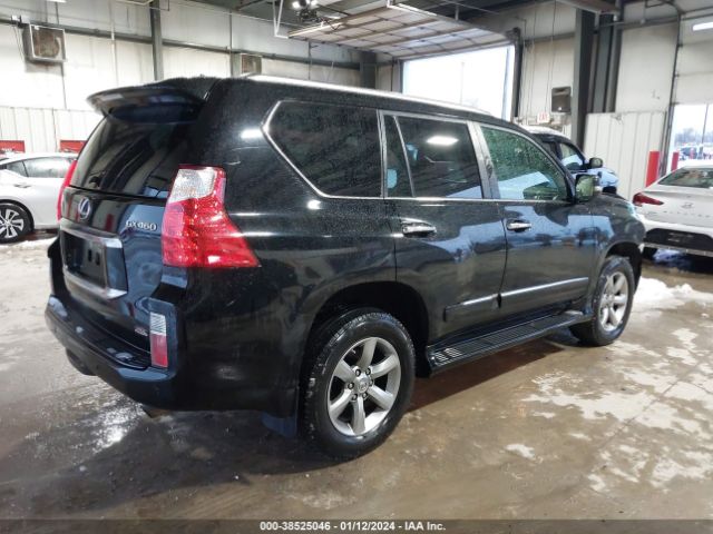 Photo 3 VIN: JTJJM7FX7D5063978 - LEXUS GX 460 